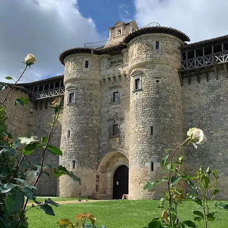 Летний дом Puechblanc Et D'hote Dans Le Triangle D'or Gaillac-albi-cordes Sur Ciel