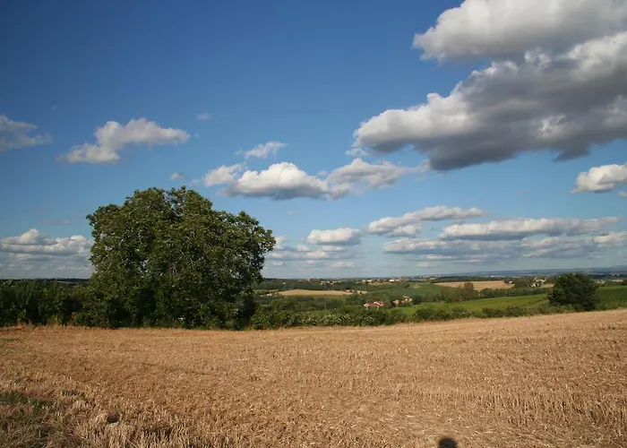 Puechblanc Et D'hote Dans Le Triangle D'or Gaillac-albi-cordes Sur Ciel Летний дом