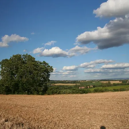 Puechblanc Et D'hôte Dans Le Triangle D'or Gaillac-albi-cordes Sur Ciel Casa de Campo
