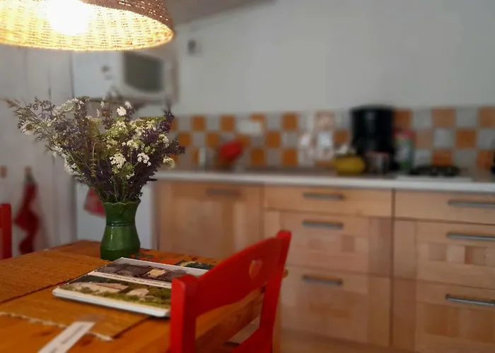 Puechblanc Et D'hote Dans Le Triangle D'or Gaillac-albi-cordes Sur Ciel Fayssac