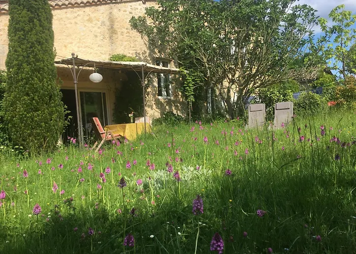 Puechblanc Et D'hote Dans Le Triangle D'or Gaillac-albi-cordes Sur Ciel Fayssac